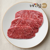 [농협안심한우] 국내산 1등급 한우 채끝 구이용 400g 소고기 채끝살 가정용 캠핑용, 1개