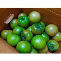 대저짭짤이토마토 짭짜리 짭잘이 완숙 토망고 방울 망고토마토 부산 2.5kg 못난이, 대저짭짤이토마토5kg