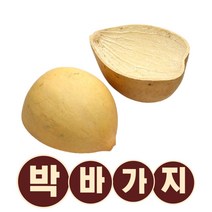 전통 추억의 시골 박바가지 함진아비 액막이 함바가지 옛날소품, 박바가지대