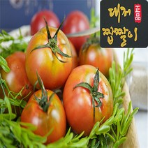 [최상등급] 대저농협인증 부산 대저 짭짤이 토마토 진품 2.5kg 5kg, 1박스, 로얄 짭짤이 토마토2.5kg (5번~8번)