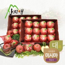 [KT알파쇼핑]산지애 씻어나온 꿀사과 3kg 2box (대과) / 청송산 미시마 당도선별, 2개
