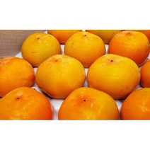 씨없는 감 홍시 연시 아이스홍시 달달한 청도반시 연시감홍시, 1박스, 2KG 소과(24과 내외)