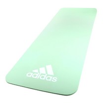 식스팩만들기 매일운동용 홈트매트 요가메트, 블루