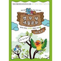 앵무새 색칠공부 첫걸음: 중소형 편:영유아를 위한 교육 프로그램, 맑은샘