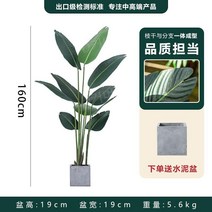 인조 바나나나무 인조목 모조 야자 관엽 휴양지 식물, 트래블러스 바나나-신장 160 cm
