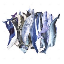 책갈피 수채화 종이 북마크 책 북클립 카드 그림 엽서 소량 답례품 DIY 제작 선물 판촉물 기념품 고래