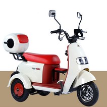 SEASTAR 삼륜전동차 삼륜전동스쿠터 전동삼륜차 전기차 삼륜전기오토바이 미니스쿠터 DS-19, 착불배송비는 지역에 따라 변동됩니다., 베이지