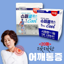 (디앤티) 허리통증파스 어깨통증파스 손목통증파스 무릎통증파스