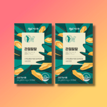 관절팔팔 관절88 플러스 2박스 2개월분
