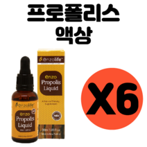 영양제왕 뉴질랜드 프로폴리스 리퀴드 원액 구강 오랄 가글 액상 액체 6개