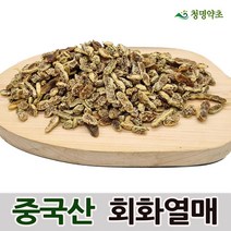 회화열매(300g)-중국산, 1개