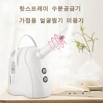 열온 스팀기 가정용 페이스 스팀기 수분 공급, 화이트