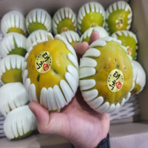 추석 명절선물 고당도 창원 태추단감 배단감 2kg 3kg 5kg, 1개, 태추단감 / 2kg(9과내외)