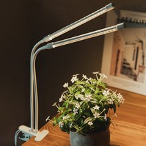 브루이 LED 바형 식물등 식물 전구 조명 생장등 성장등 성장조명 조명등 재배등 화이트 2구