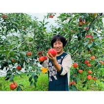 충북 음성 사과 껍질째먹는 꿀사과 부사 가정용 얼음골 5kg, 10kg 중과 [40~44과], 1개