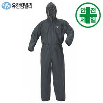 보호복 크린가드 A10 일체형 (진회색-분진.오염) 보호복 보호대 방진 분진복 방역복, 24벌/box, 특대형(XL-4304368)