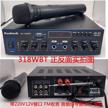 노래방 앰프 체육관 성당 교회 강의 행사 고출력, 318WBT+무선 마이크