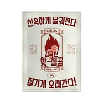 김국산 핫칠공 핫팩 100g, 30개
