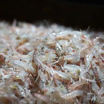 급냉 동백하 1kg, 1. 급냉 동백하 1kg