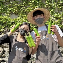 후니팜 국내산 애호박 20개 10개 5개 2개 인큐애호박