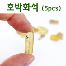 천연 호박화석 5P 소나무 송진 관찰 학습 수업 이해 교재 원리 탐구 도구 창의 교구 실험 돌봄