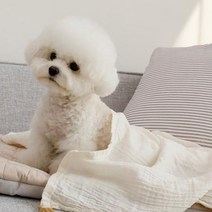 피카 모달 거즈 피그먼트 애견이불