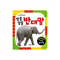 (애플비북스) 알쏭달쏭 반대말 플랩을 펼쳐요 사진 인지책 (똑똑한 아기 플랩북 | 플랩북 ), 애플비북스