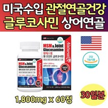 미국 수입 조인트 MSM 관절 글로코민 영양제 60정 엠에스엠 녹색입 초록입 초롱이 그린 녹색 잎 홍합 다리 허리 발가락 손가락 손목 발목 허리 팔 다리 연골 글루코사민 글루코민