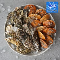 당일조업 통영 제철 석가세트 3kg 5kg [구이/찜용] 각굴 홍가리비 석화, 석가세트 2.석화3kg+가리비2kg