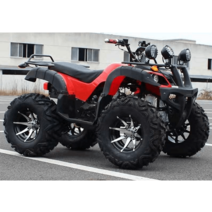 4륜 ATV 바이크 다목적 농업용 오프로드 전기 가솔린, 리틀불 세트 C