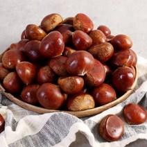 22년 햇밤 부여 알밤 2kg 특, 단품