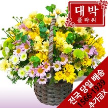대박플라워 은은하게 꽃바구니 생일선물 기념일 출산꽃선물 병문안 꽃배달
