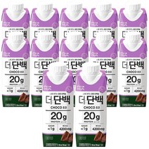 빙그레 더단백 드링크 초코 250ml / 단백질음료, 12개