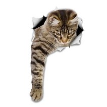 차량용 냉장고 미니 냉온장고 캠핑용 온장고 3Ratels CM29 사랑스러운 고양이 페르시아 Birman Bombay 영국, 01 CM29-1_05 50cm( 19.7inch)