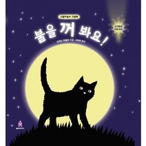 불을 꺼 봐요:그림자 놀이 그림책, 불을 꺼 봐요, 리처드 파울러(저),보림서남희,(역)보림,(그림)보림, 보림