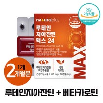 복합 기능성 아이케어 루테인 지아잔틴 시니어 눈 영양제