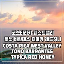 (커피생두) 182 코스타리카 웨스트밸리 토노 바란테스 티피카 레드허니 500g