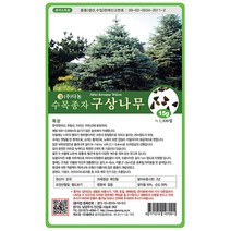 구상나무씨앗 15g, 단품없음