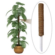 정원 식물 재배 원예 코이어 이끼 토템 기둥 등반 지원 확장 야자 덩굴 스틱 실내 new, 01 50cm