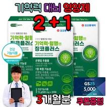 기억력 뇌 영양제 감퇴 집중력