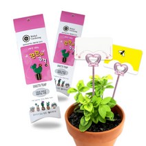 [화분월드] 끈끈이주걱(킬) 해충박멸 식물해충퇴치 식물보호, 상세 설명 참조