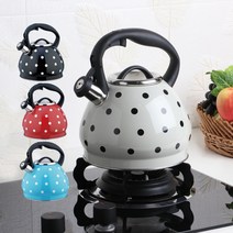 북유럽 인덕션 가스렌지 겸용 3L 대용량 가정용 304 스테인레스 휘슬 주전자 티포트 드립, 블랙