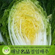 (산지직송) 청정해남산 해남절임배추 20kg (GAP인증), 01월06일(금)도착