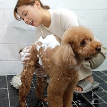 바란스샴푸 애견샴푸 강아지비누 푸들 말티스 비숑 샴푸 6종, 베이킹소다 디오더라징펫 샴푸503ml