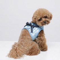 리얼펫 하트 & 별 조끼 하네스, BLUE