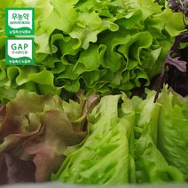 충남 부여 무농약 쌈모음 600g(랜덤구성) / 당일수확 / GAP 쌈채소 굿뜨래, 쌈모음600g(랜덤구성)