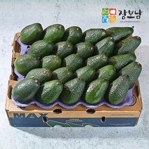 [오늘출발] 장보남 아보카도 대과 24개 5.3kg 대용량/ 우체국 택배, 1박스, 아보카도 대과 24과