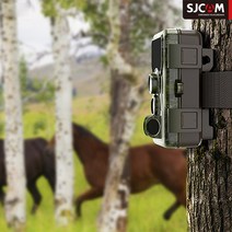 SJCAM M50 헌팅캠 적외선 방수 야생 야간 관찰 카메라 CCTV