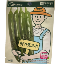 미인풋고추씨앗100립 당뇨에좋은고추종자 과일맛풋고추 미인풋 아시아