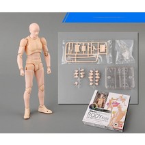 바디쿤 바디짱 바디첸 드로잉 DX 피규어 스킨 남성